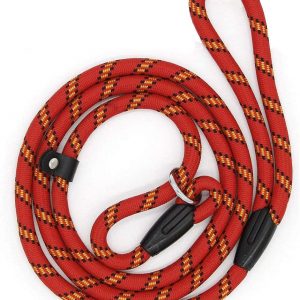 Dog Slip Rope Leash