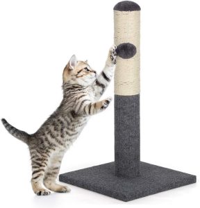 Grey Cat Scratching Post
