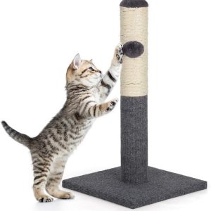 Grey Cat Scratching Post