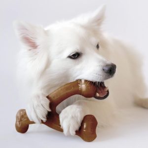 Durable Dog Chew Toys