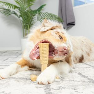 Durable Dog Chew Toys
