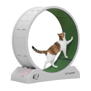 Cat Treadmill